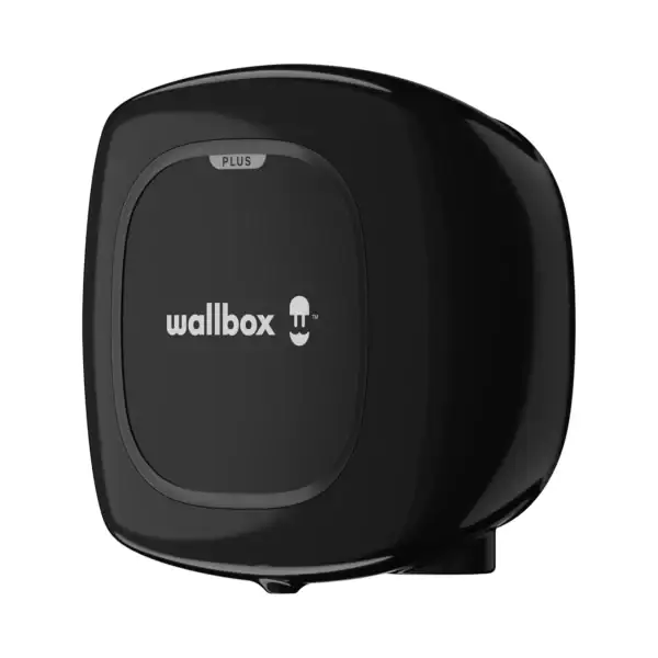 PP PLUS PERSPECTIVE 2 T