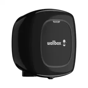 PP PLUS PERSPECTIVE T