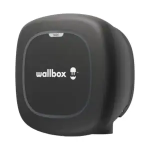 PP MAX PERSPECTIVE 2 T