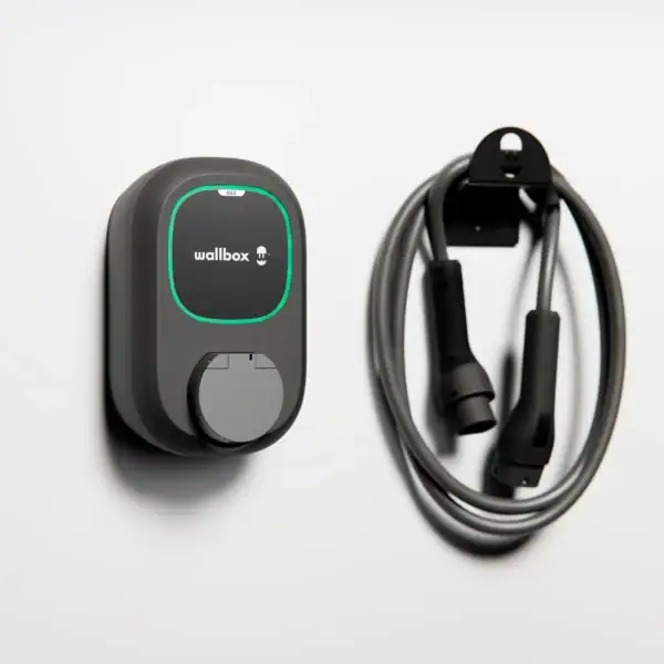 PULSARSOCKET MAX WALLlow