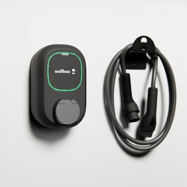 PULSARSOCKET PLUS WALL